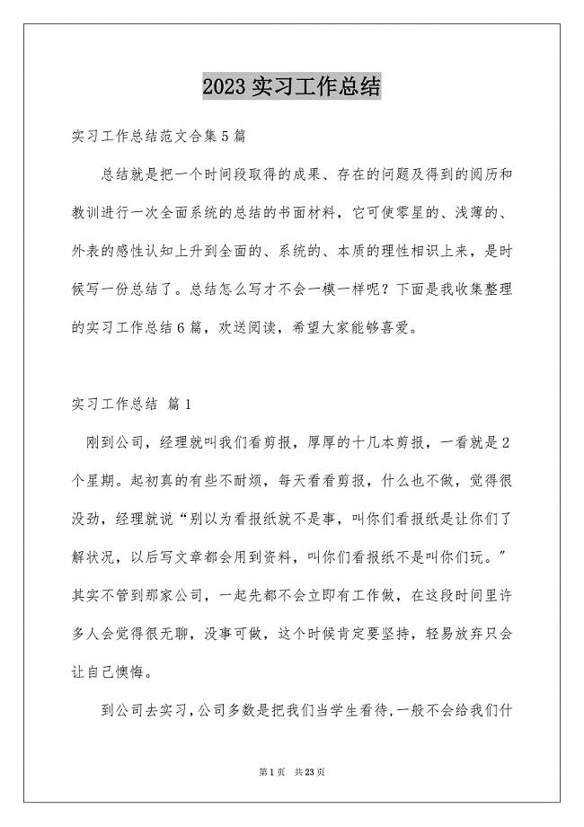 2023年实习工作总结460范文.docx