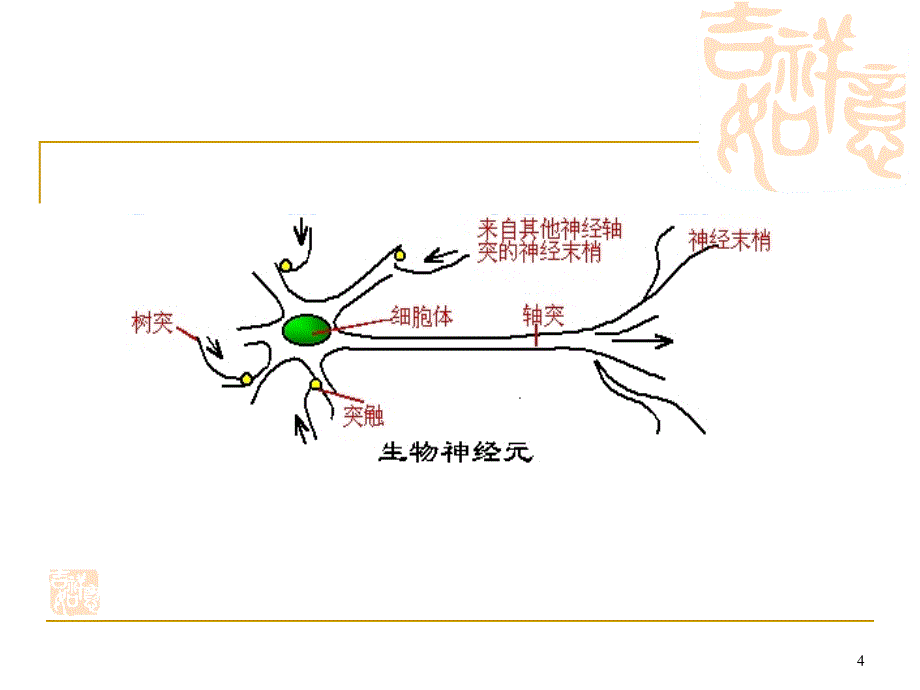 人工神经网络简介ppt课件_第4页