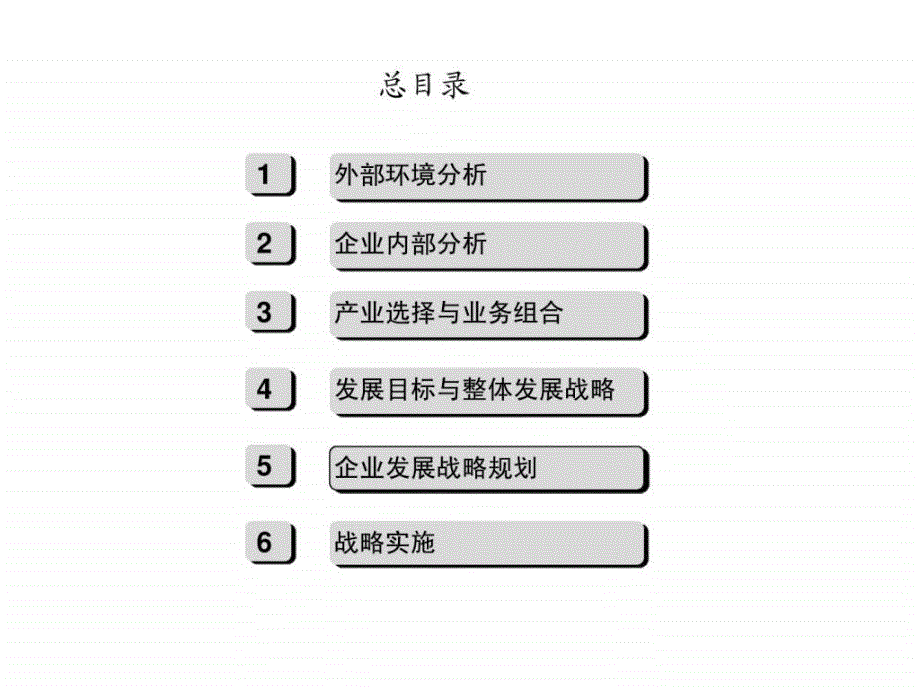 某企业发展战略咨询报告_第4页