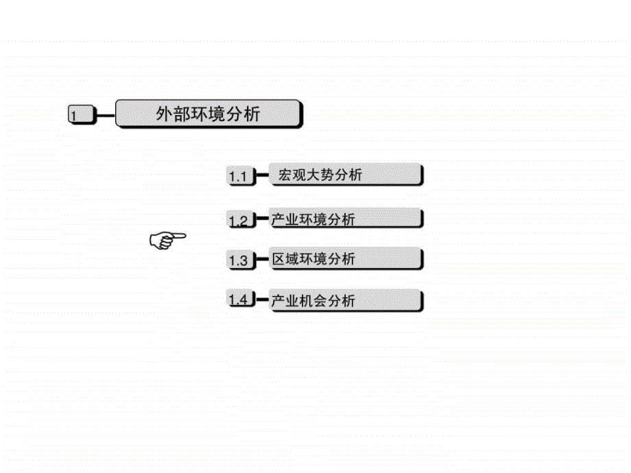 某企业发展战略咨询报告_第5页