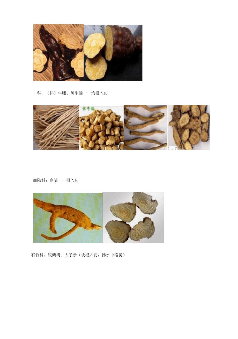 执业中药师药一常用中药图谱_第2页