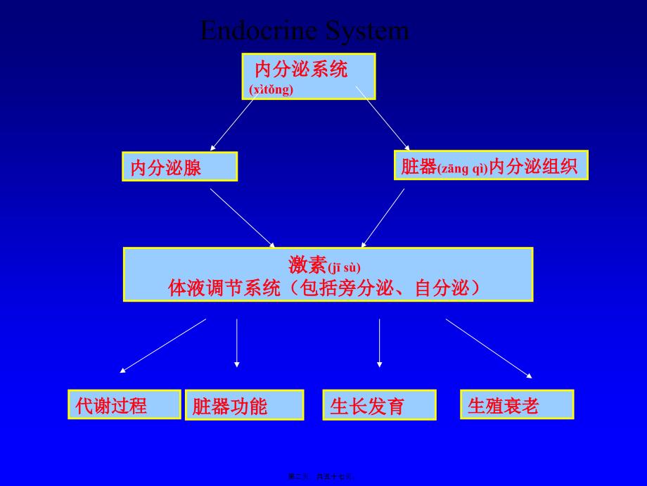 医学专题—内分泌总论2008.5(口腔)19540_第2页