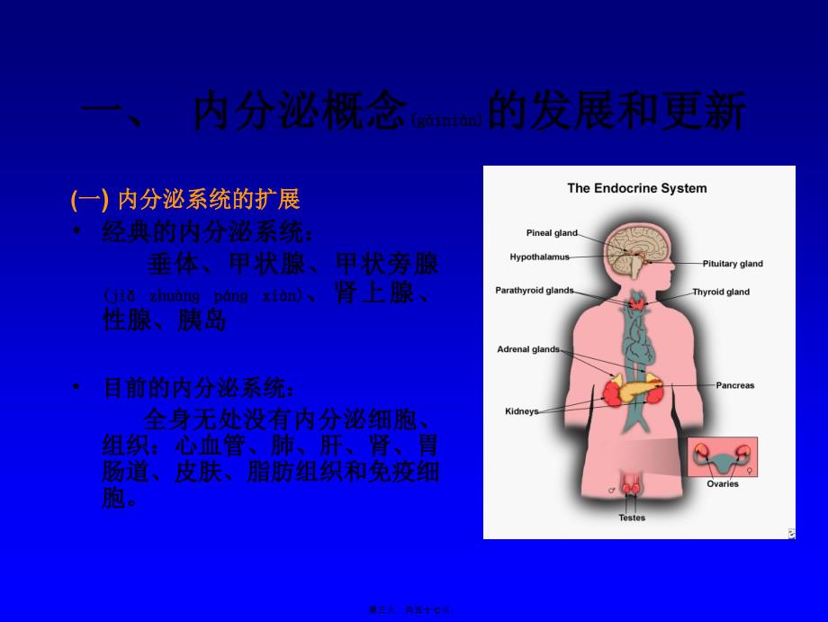 医学专题—内分泌总论2008.5(口腔)19540_第3页