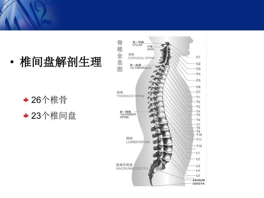 电针治疗腰椎间盘突出症_第5页