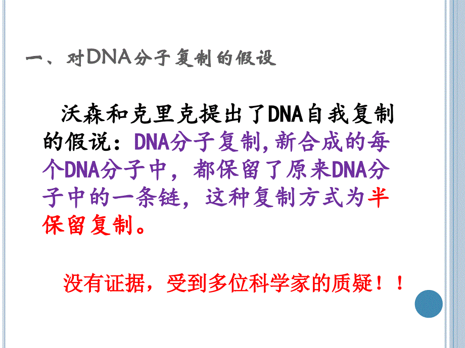 DNA分子的复制41229[精选文档]_第2页