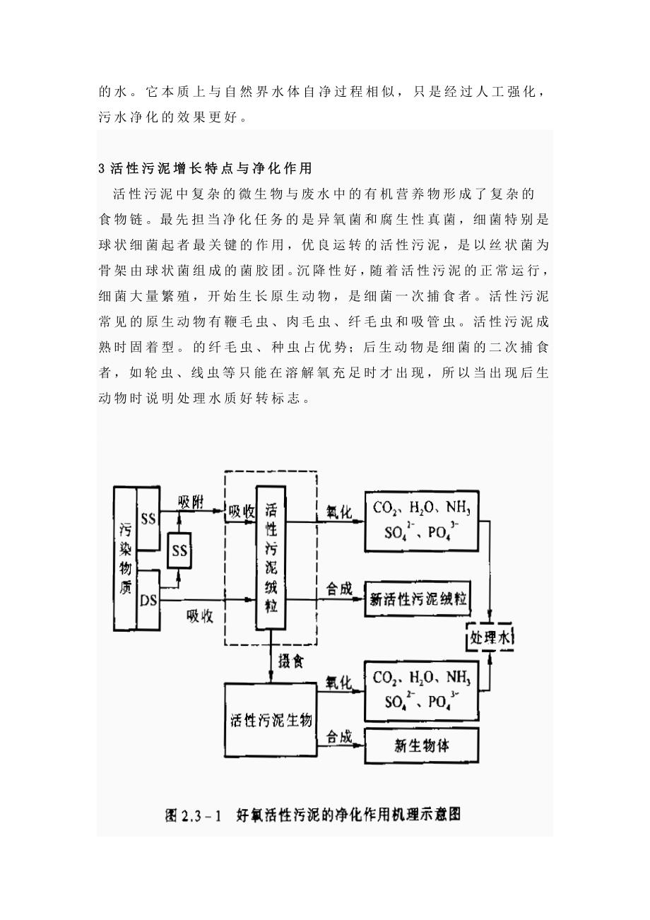 生物法处理废水_第4页