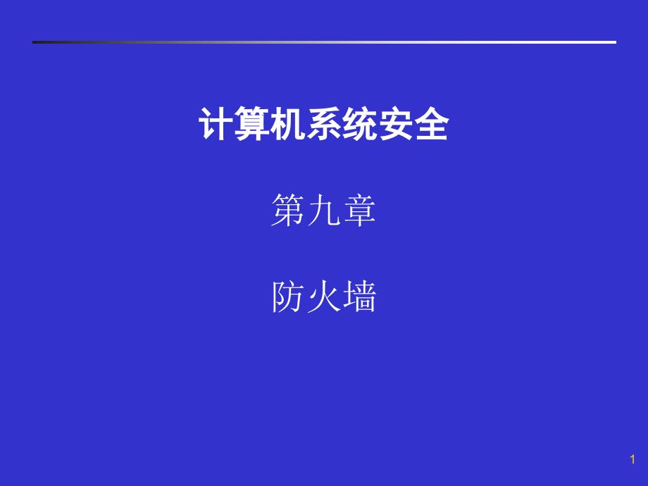 计算机系统安全 防火墙_第1页