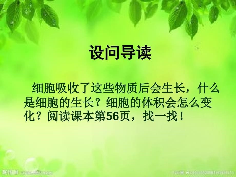 《细胞通过产生新细胞》教学课件_第5页