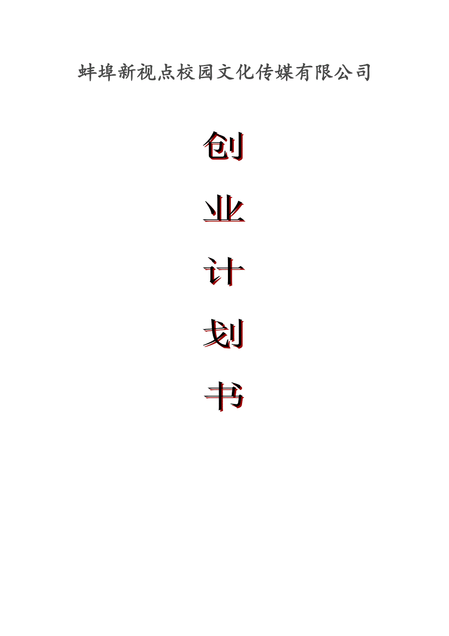 安徽省新视点文化传媒有限公司可研建议书.doc_第1页