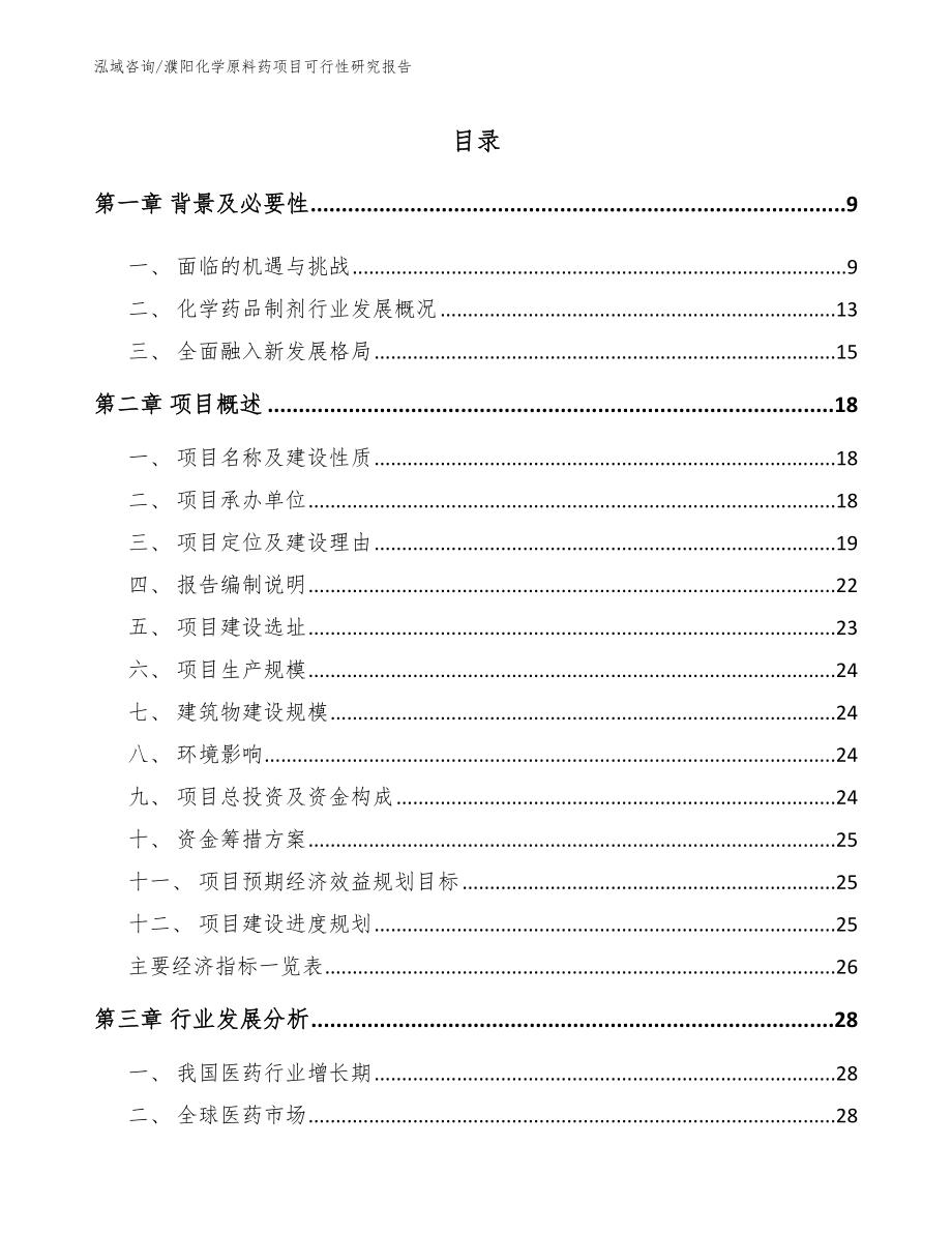 濮阳化学原料药项目可行性研究报告【范文参考】_第2页