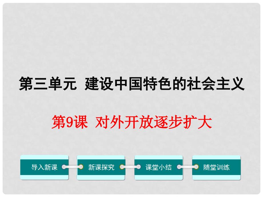 八年级历史下册 第三单元 第9课 对外开放逐步扩大教学课件 华东师大版_第1页