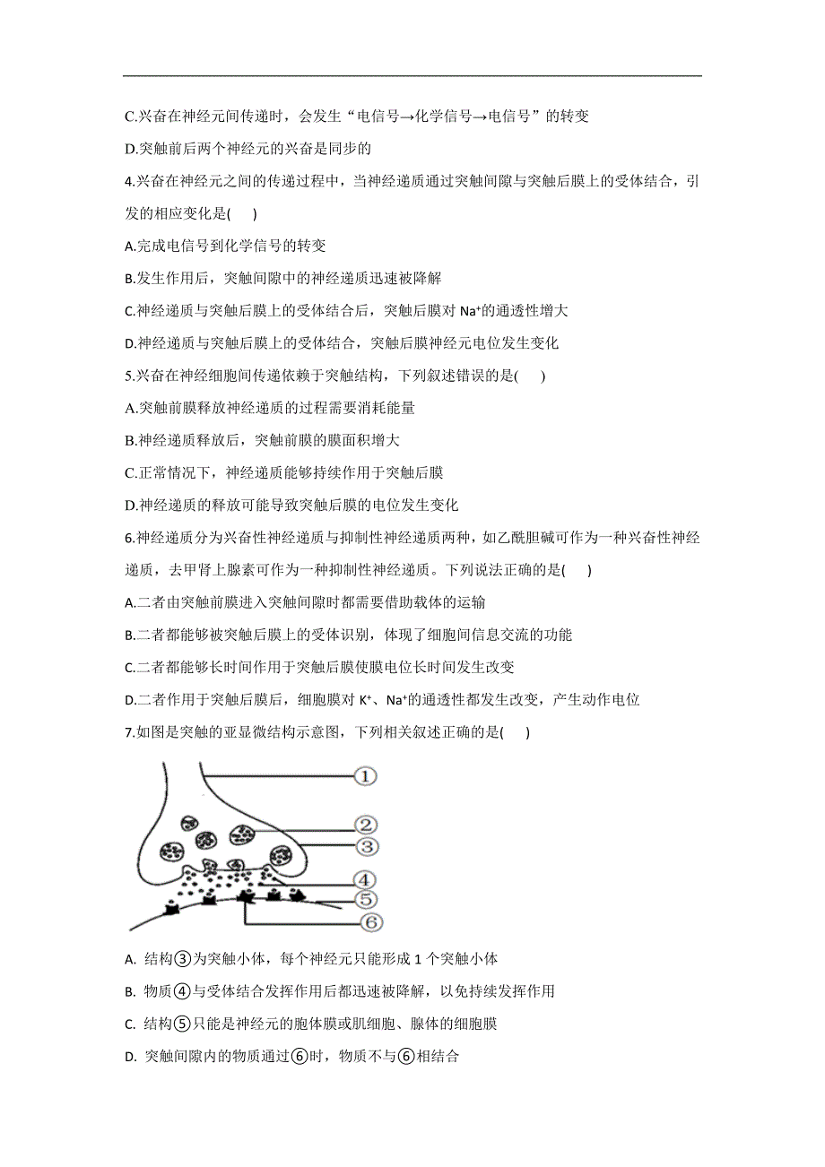 2.3神经冲动的传递— 高二生物北师大版（2019）选择性必修1同步练习.doc_第2页