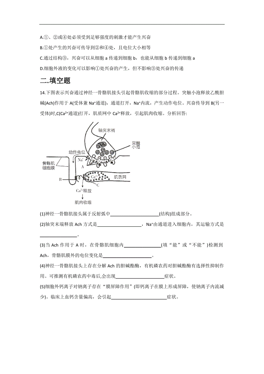 2.3神经冲动的传递— 高二生物北师大版（2019）选择性必修1同步练习.doc_第5页