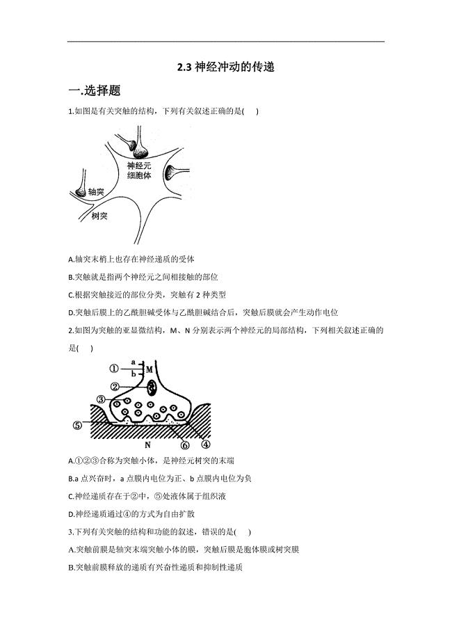 2.3神经冲动的传递— 高二生物北师大版（2019）选择性必修1同步练习.doc