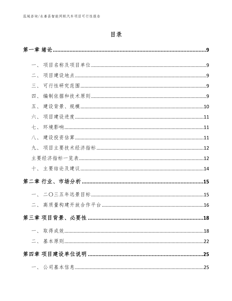 永善县智能网联汽车项目可行性报告_第2页