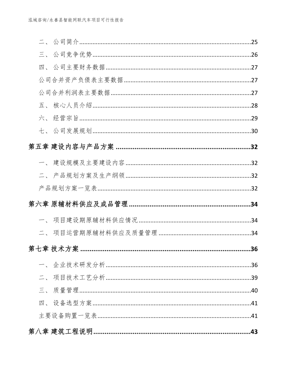 永善县智能网联汽车项目可行性报告_第3页