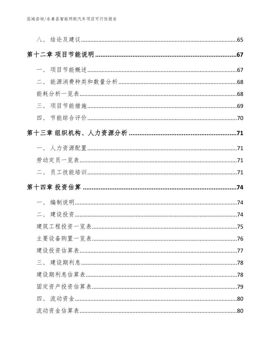 永善县智能网联汽车项目可行性报告_第5页