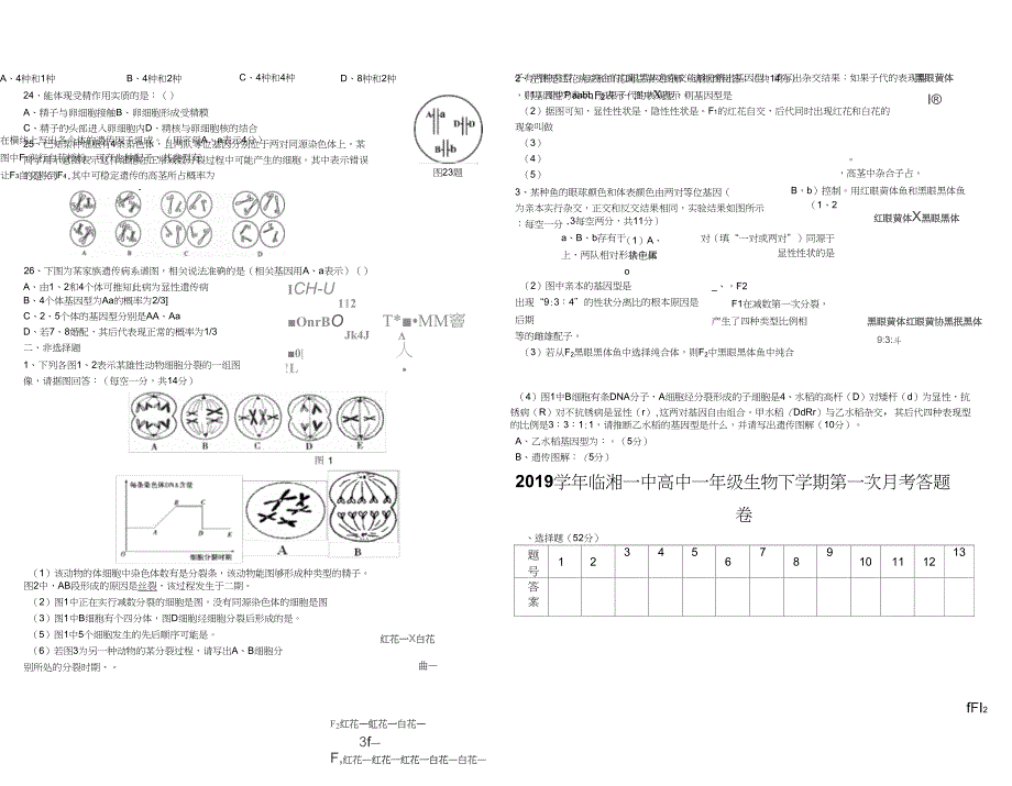 111遗传学减数分裂考试试题_第2页