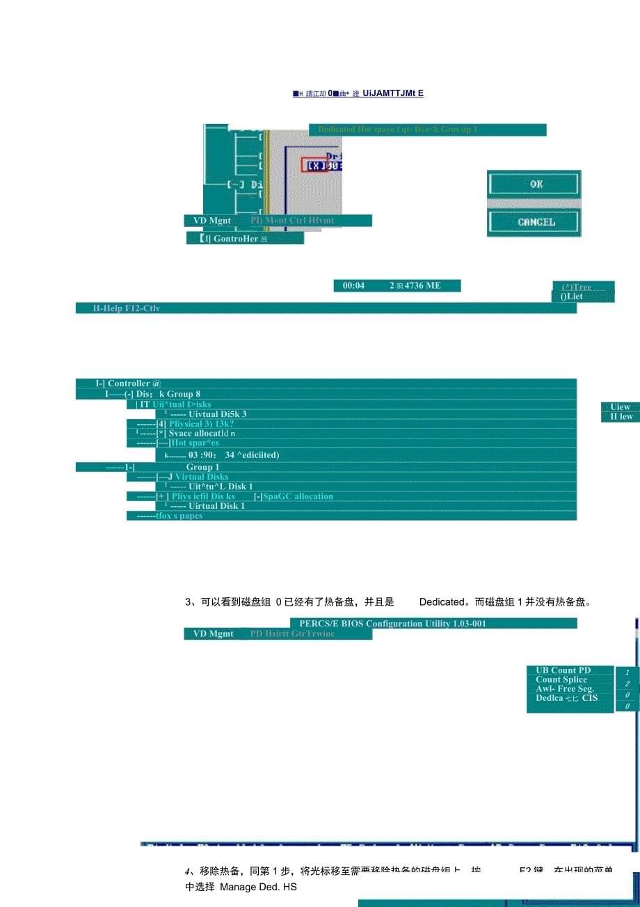 DELL服务器磁盘热备_第5页