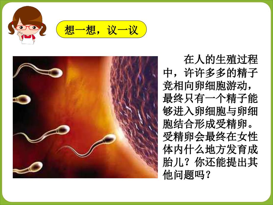 七年级下册生物生殖器官2015课件.ppt_第3页