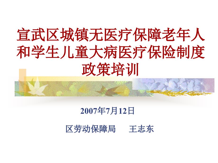 宣武区城镇无医疗保障老年人_第1页