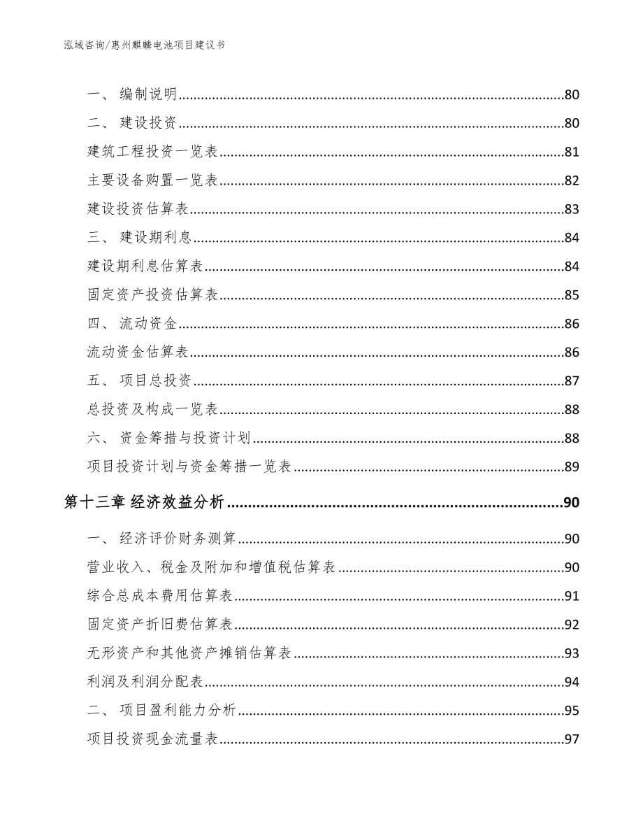 惠州麒麟电池项目建议书【范文模板】_第5页