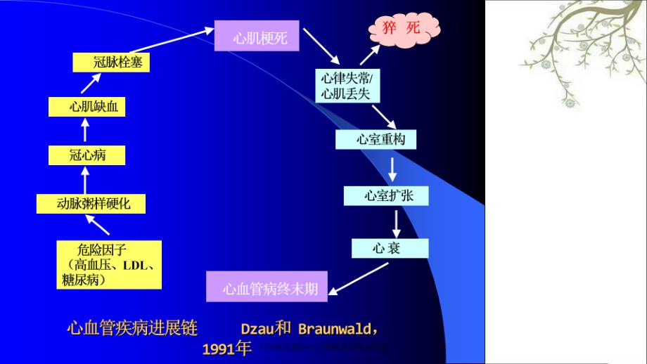 不同病因重症心力衰竭急诊救治对策课件_第4页