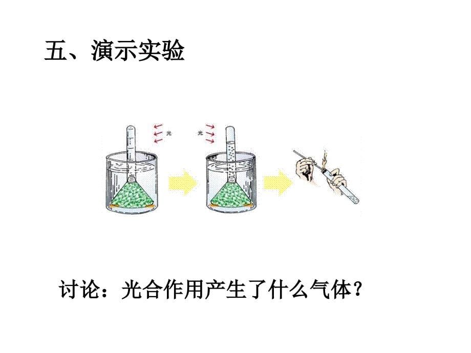 初中一年级生物上册第三单元-生物圈中的绿色生物-第五.第一节-光合作用吸收二氧化碳释放.第一课时课件_第5页