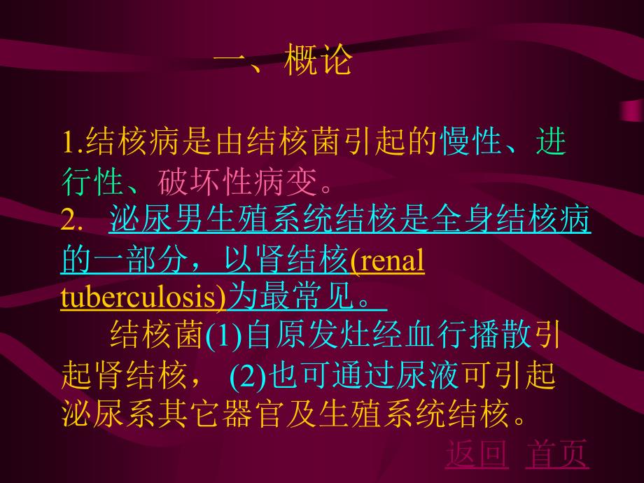 泌尿、男性生殖系统结核课件_第2页