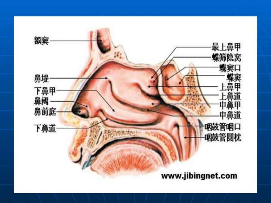 小儿呼吸统疾病_第4页