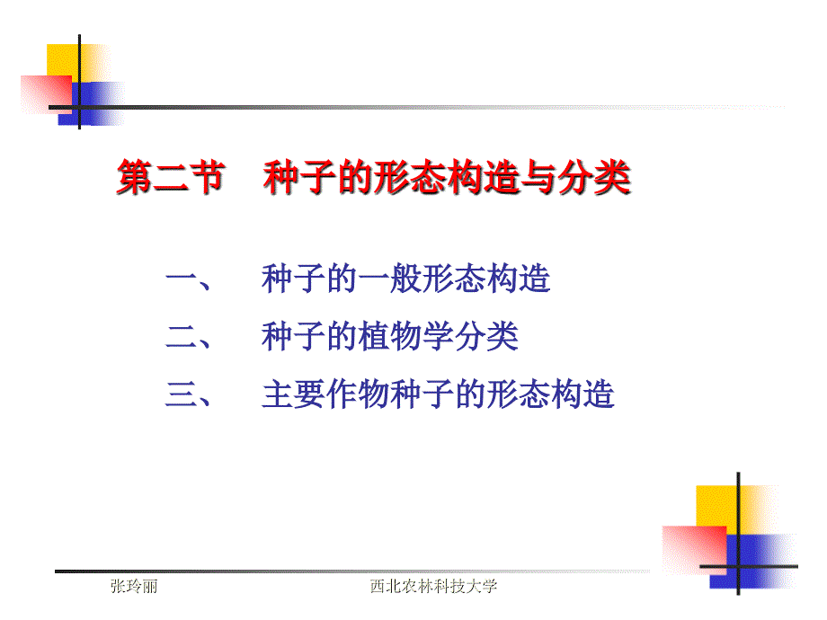 植物形态结构(种)_第1页