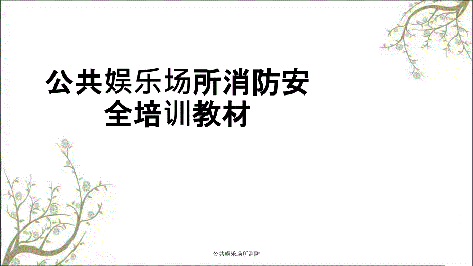 公共娱乐场所消防PPT课件_第1页