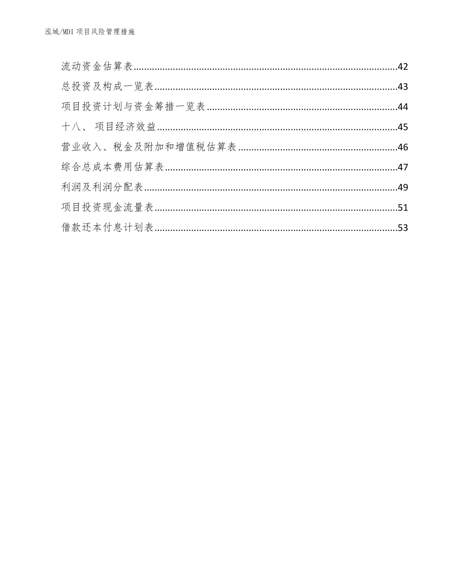 MDI项目风险管理措施（参考）_第2页