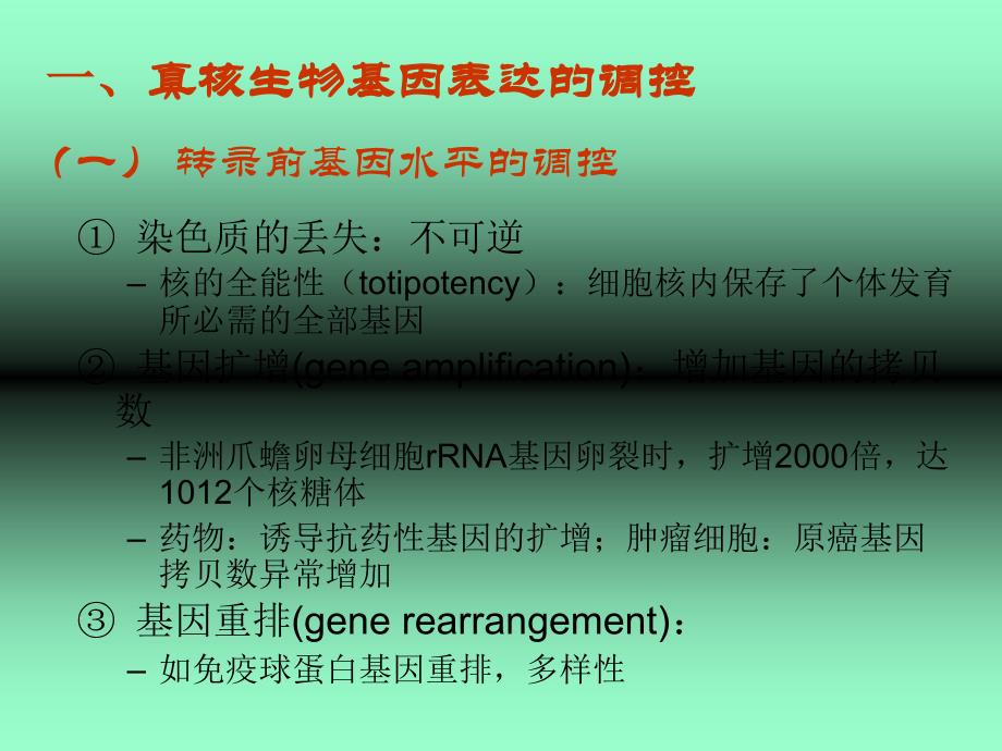 7基因的表达调控_第4页