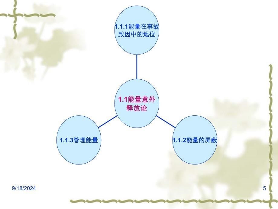 1安全生产管理基本原理_第5页