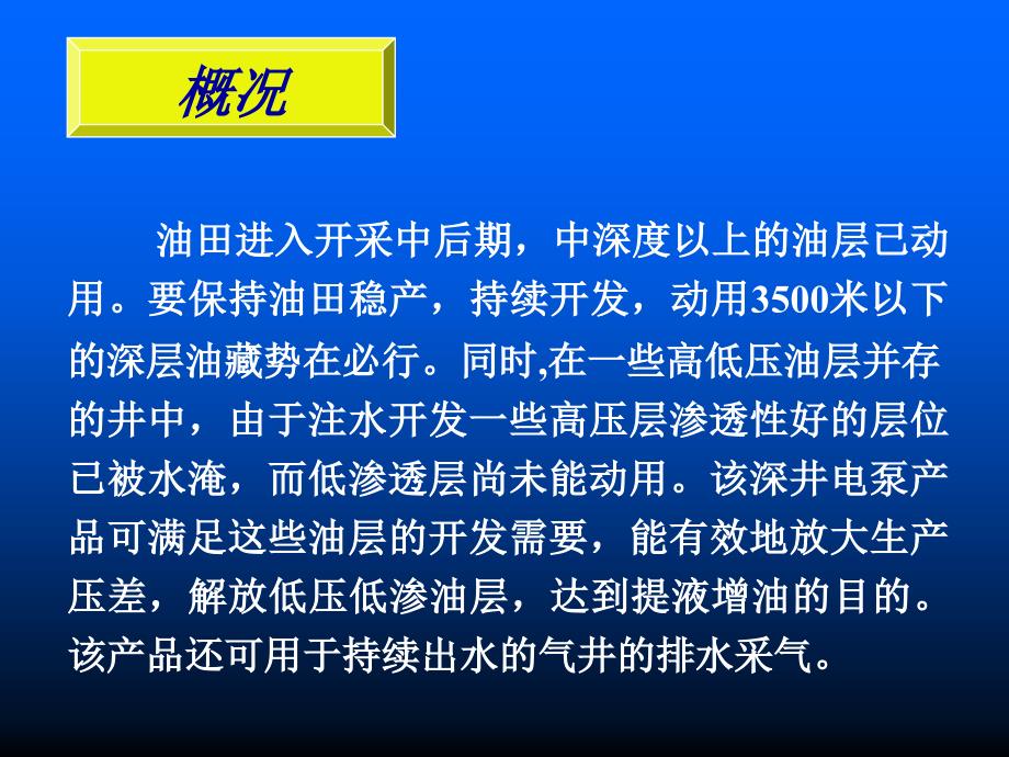 深井潜油电泵及工艺技术研究项目总结_第2页