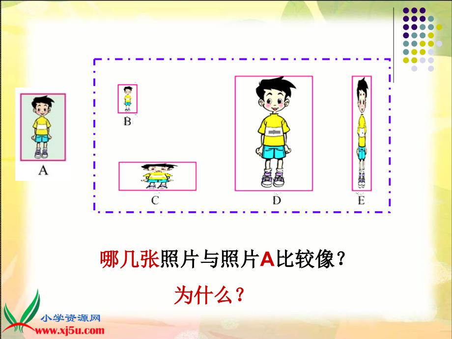 《生活中的比》PPT_第1页