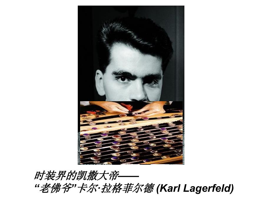 KarlLagerfeld设计师分析_第2页