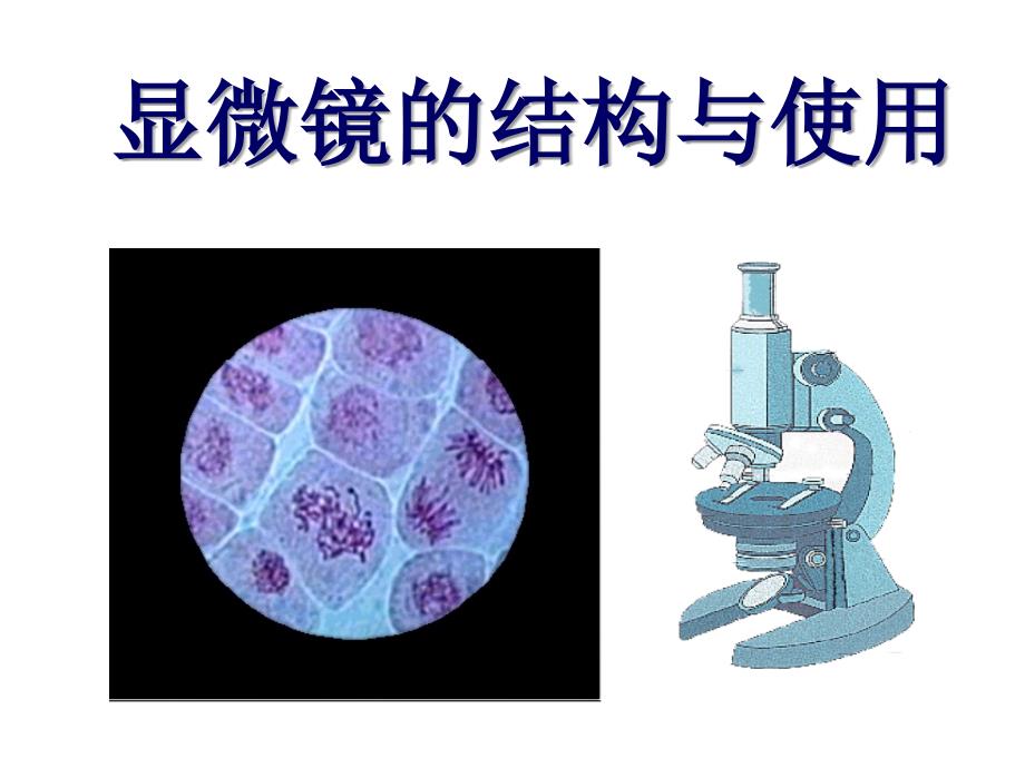 《显微镜结构与使用》PPT课件_第1页