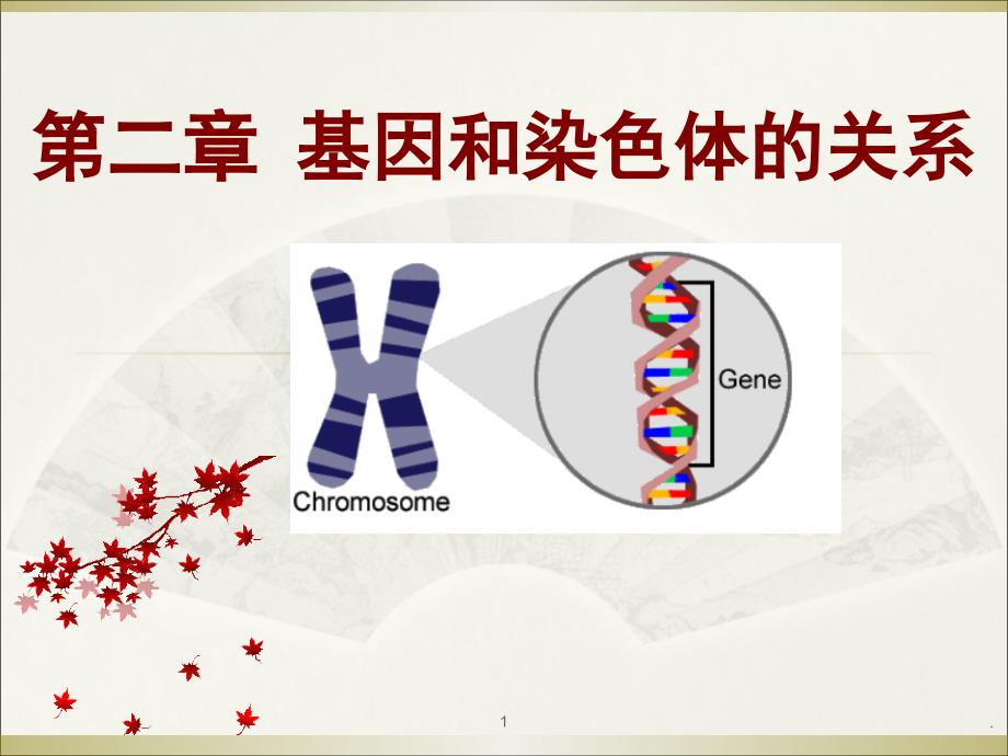 减数分裂优秀课件_第1页