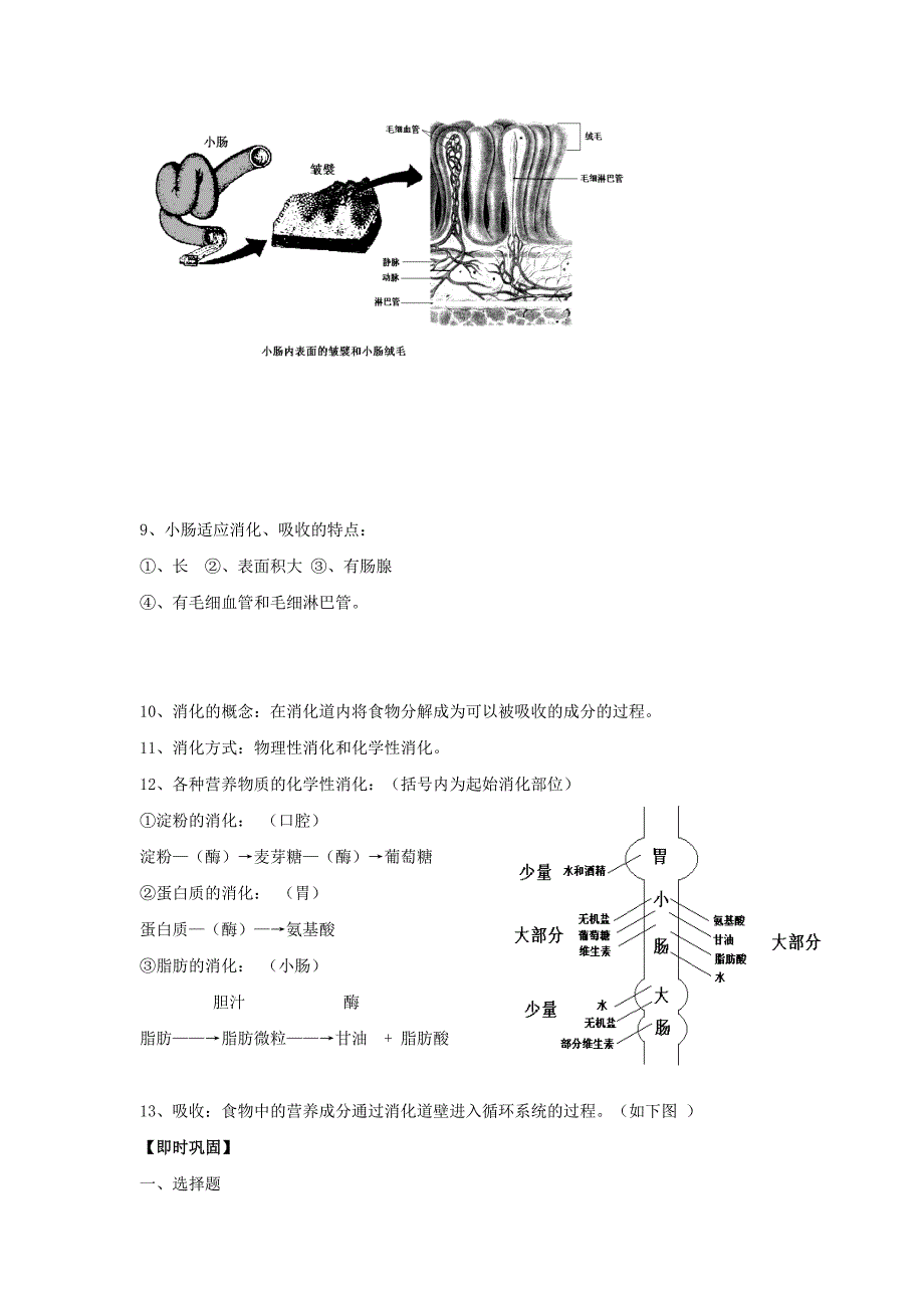 七年级生物上册第3章人体的物质和能量来源于食物复习学案无答案苏科版_第2页