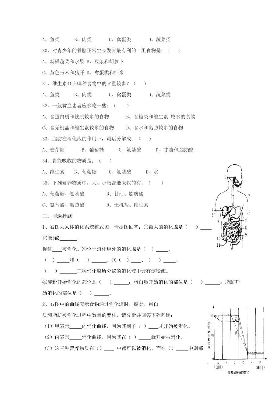 七年级生物上册第3章人体的物质和能量来源于食物复习学案无答案苏科版_第5页