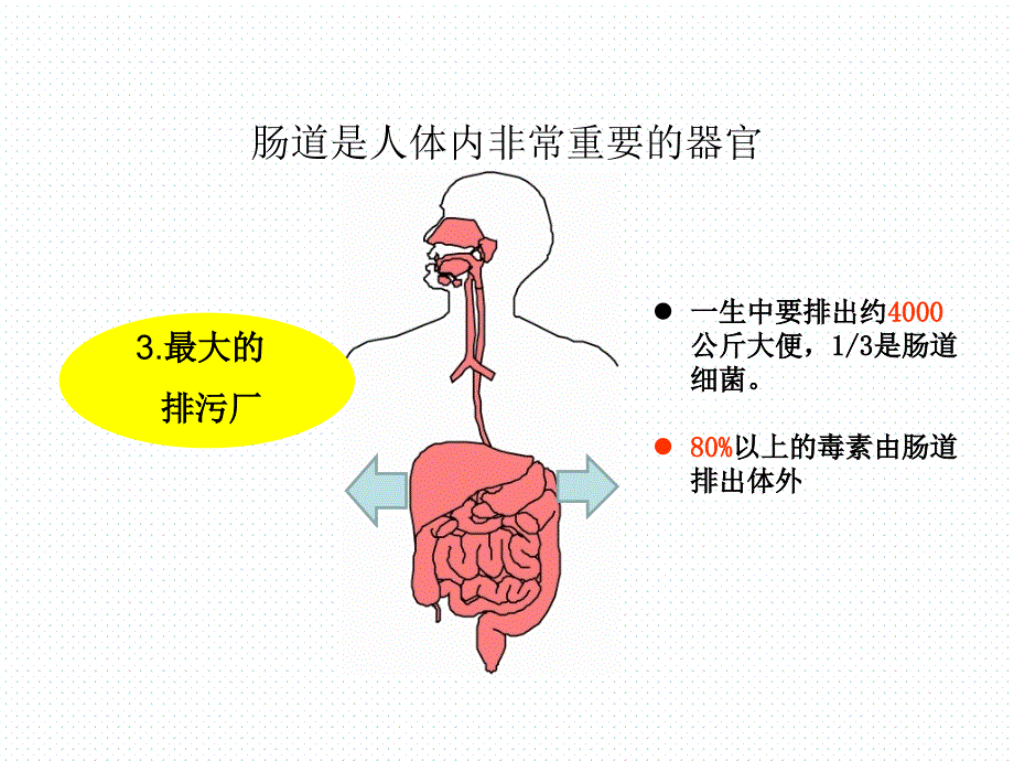 医学专题：7月6日肠道健康科普讲稿_第4页