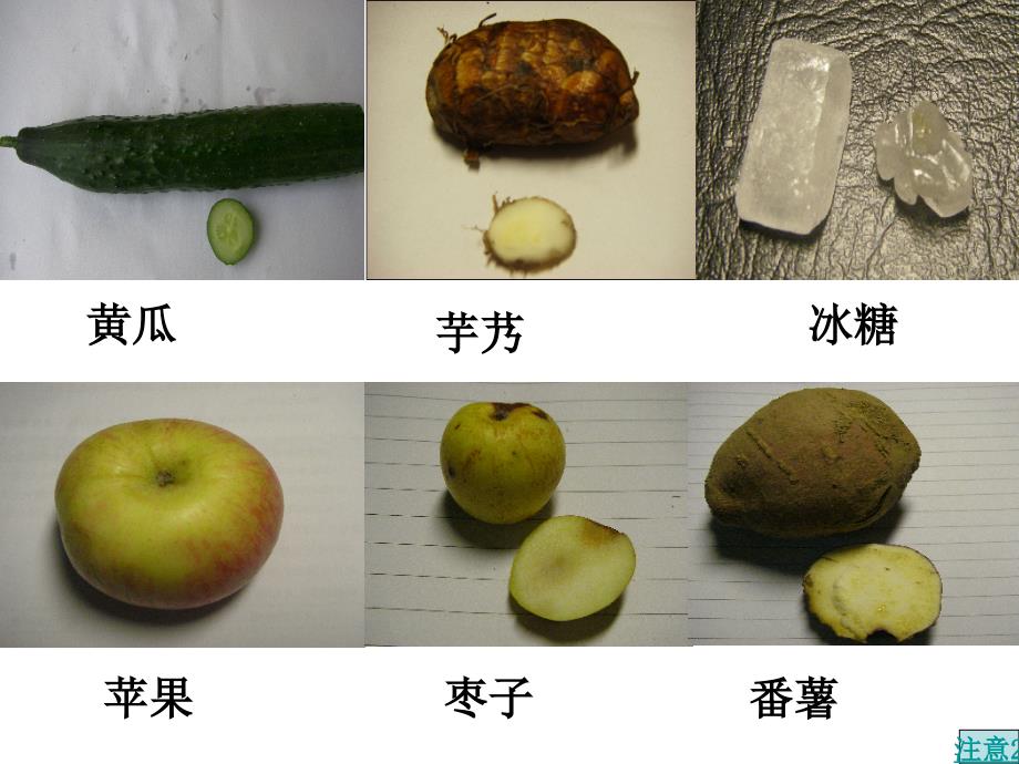 教科版小学科学六年级下册第二单元《米饭、淀粉和碘酒的变化》PPT课件_第4页