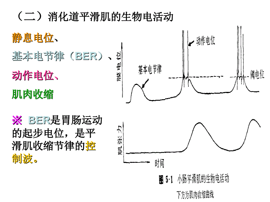 生物：2.2《消化和吸收》课件2(人教版七年级下)_第3页