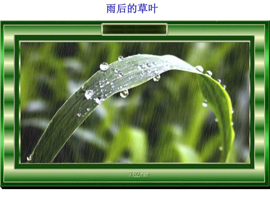 苏教版二年级语文下册_雨后1_第4页