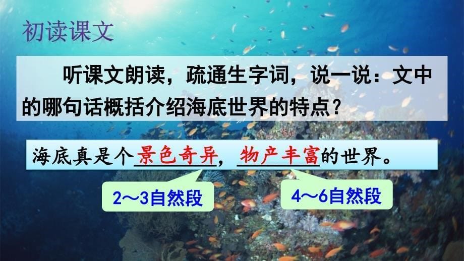 部编版三年级下册j精美优秀课件23海底世界_第5页