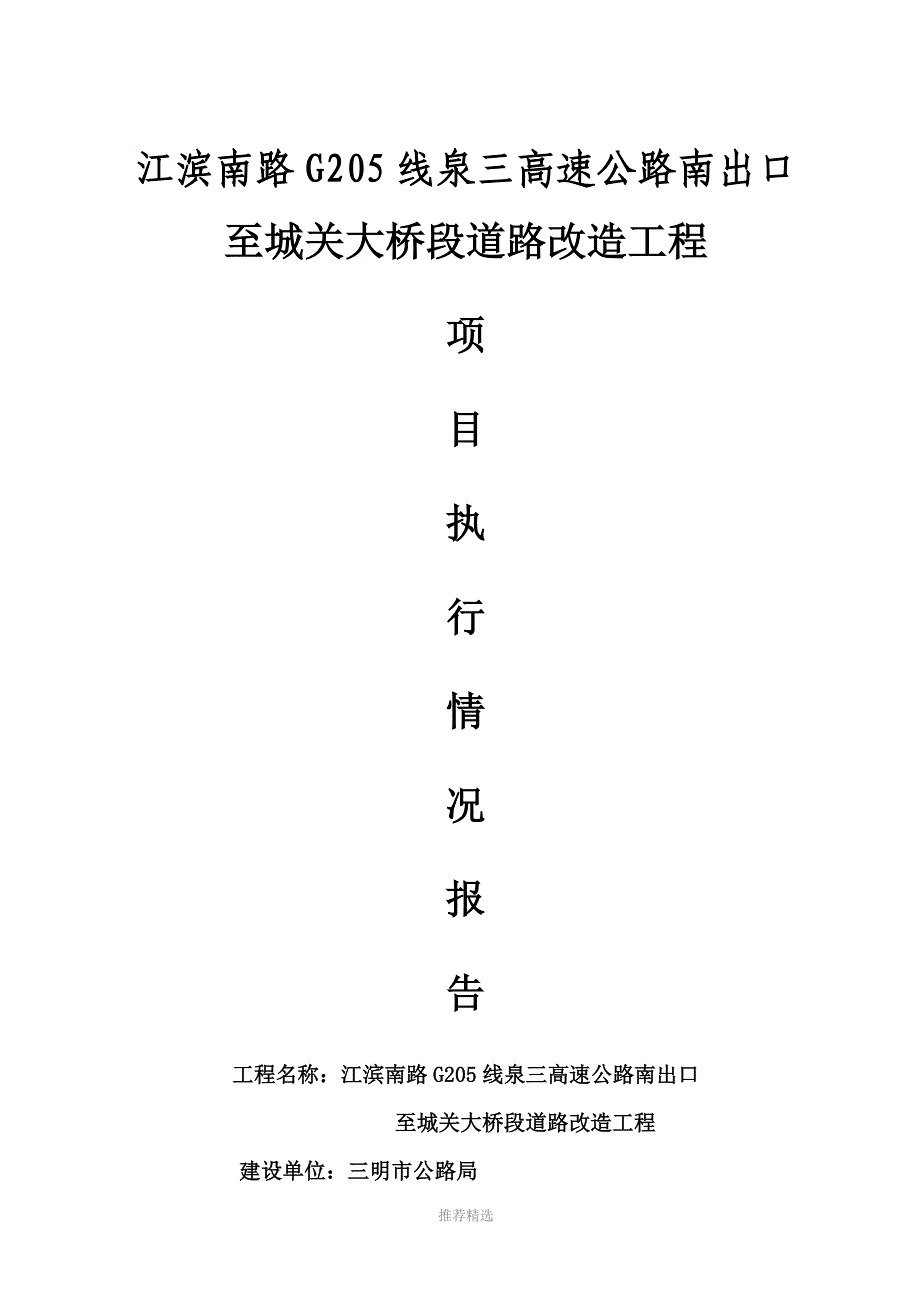 项目执行情况报告_第1页