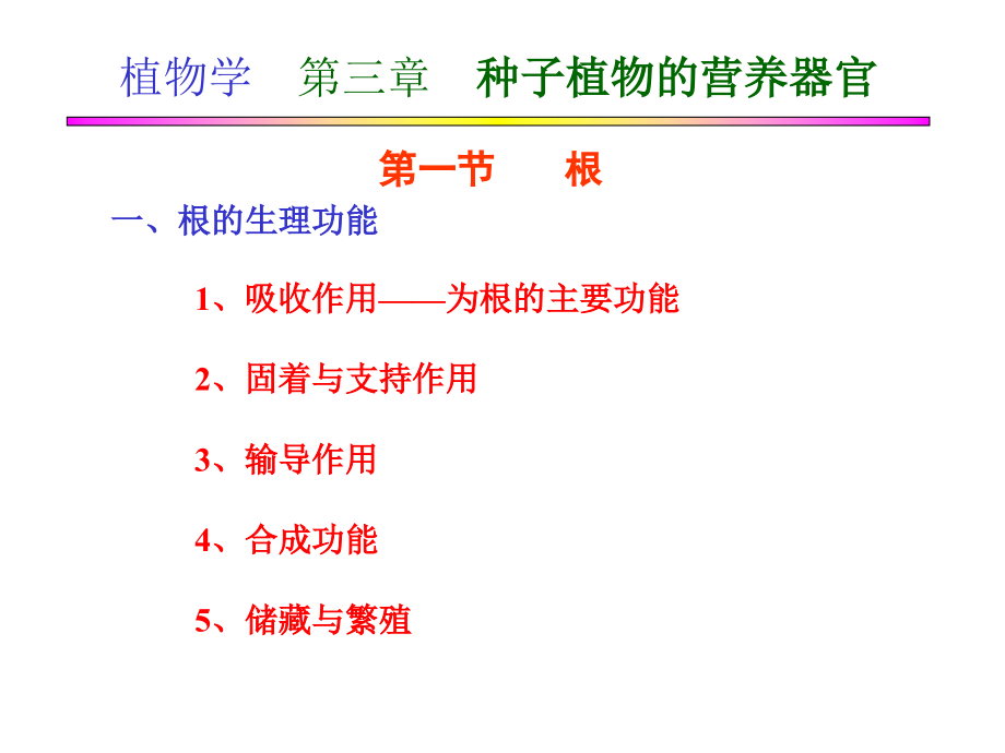 《营养器官根》PPT课件_第4页