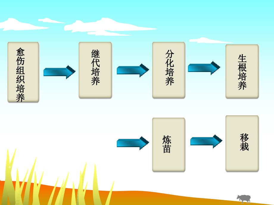 芦荟组织培养快速繁殖_第3页